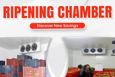Ripening Chamber