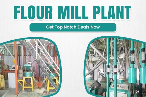 Flour Mill Plant