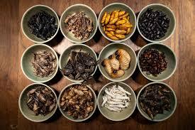 What Are the Key Applications Driving the Edible Insects Market?