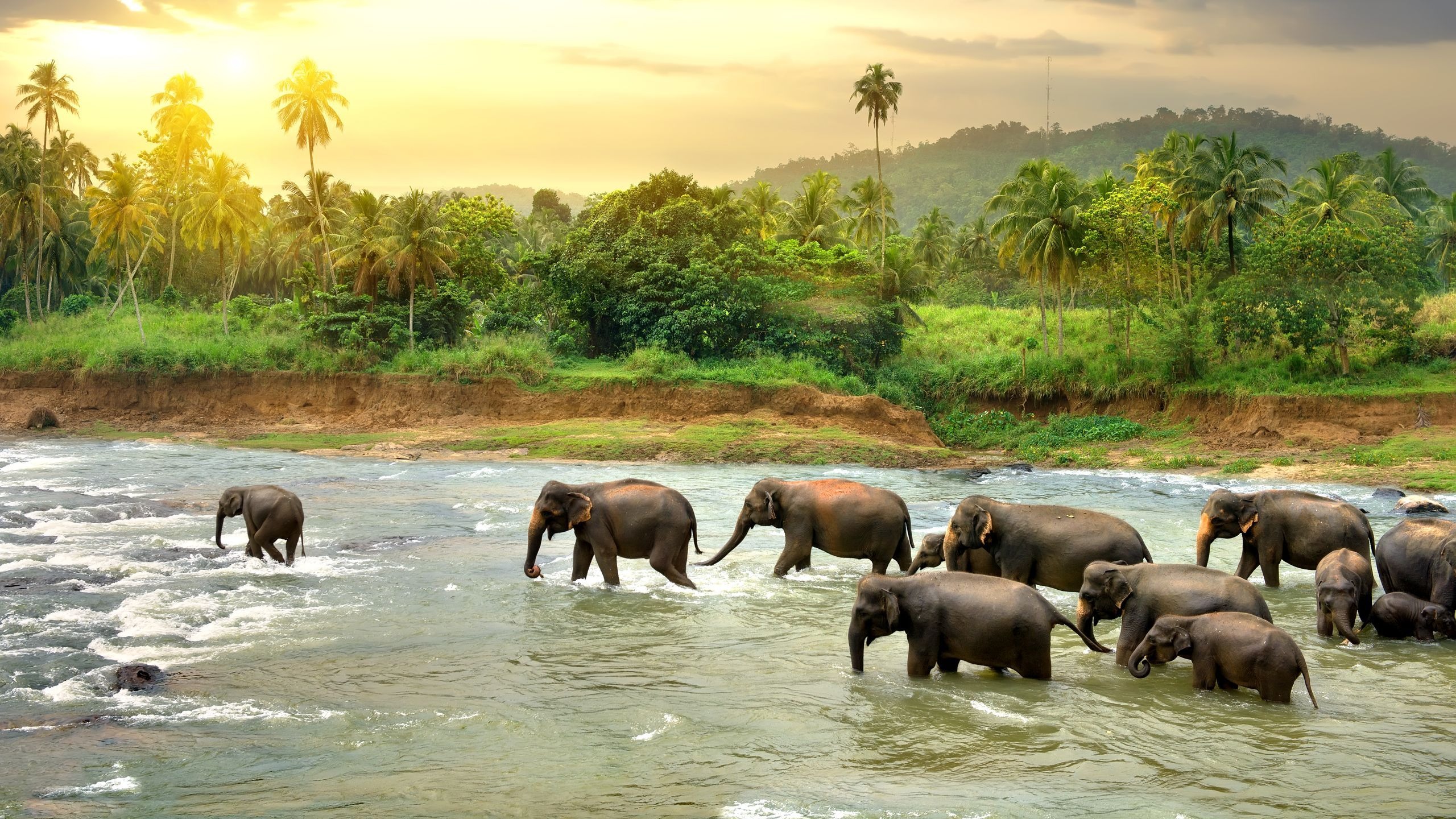 Family Holidays in Sri Lanka: Top Kid-Friendly Activities