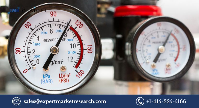 Pressure Gauge Market: Trends, Growth, and Forecast (2025-2034)