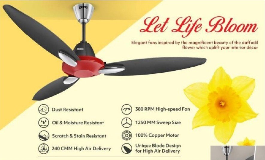 1200 mm Usha Bloom Daffodil Ceiling Fan, 380 RPM in Thane NAFEES