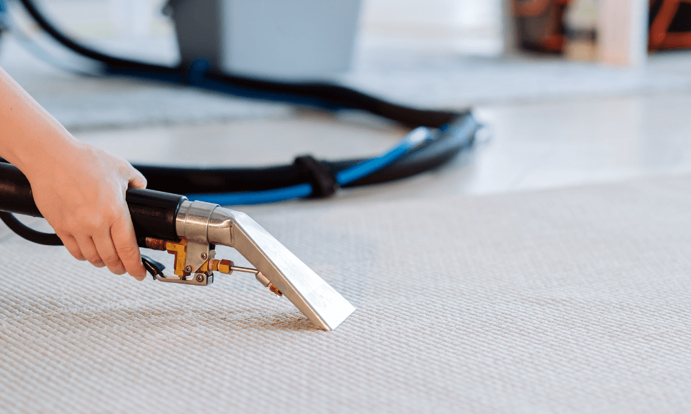 Affordable Carpet Cleaning in Brooklyn | AbrugCleaners