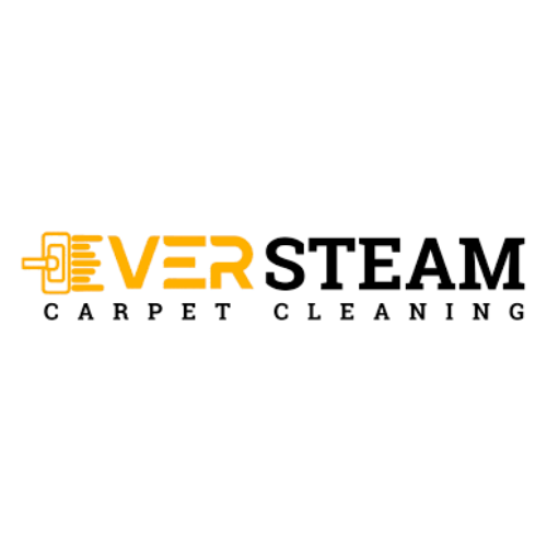 What Every Homeowner Should Know About Carpet Care
