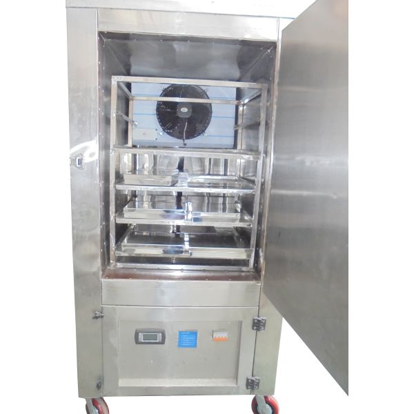 Mini Blast Freezer 6X5X8 in Bawana, Delhi Ahata Industries
