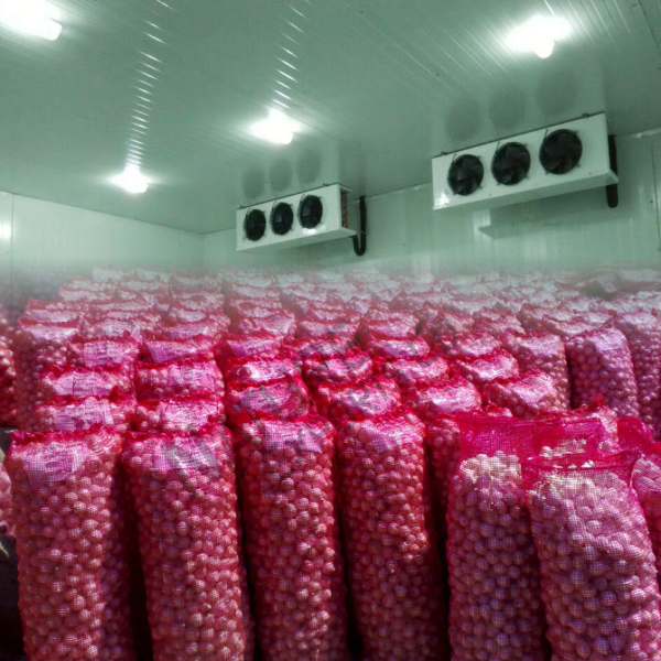 2000 MT Onion Cold Storage in Bawana, Delhi Ahata Industries