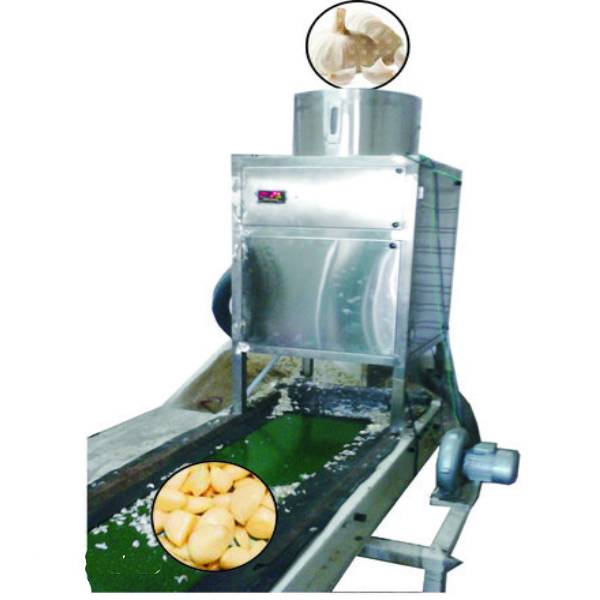 Fully automatic Garlic Peeling Machine in Ahmedabad Aps industries