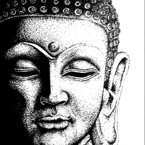 Pen art senior stippling course classes(offline) in Rohini Exquisite