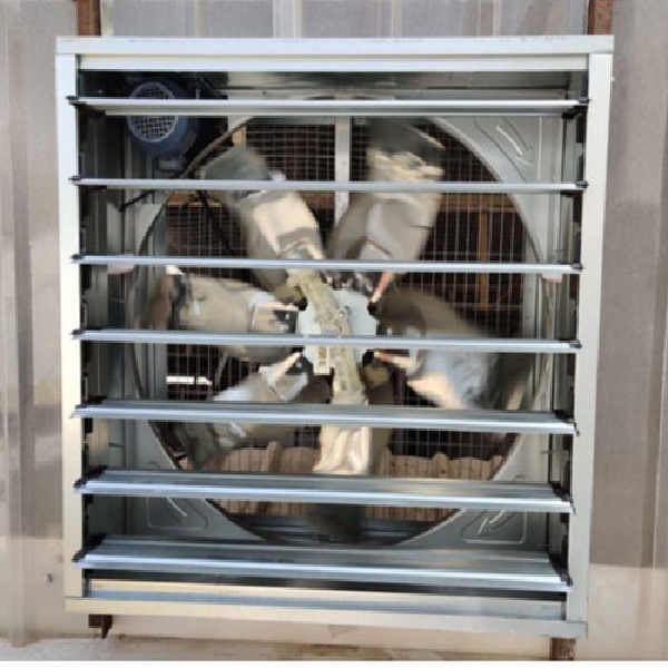 Negative Ventilation Exhaust Box Fan Manufacturer & Seller in Ahmedabad