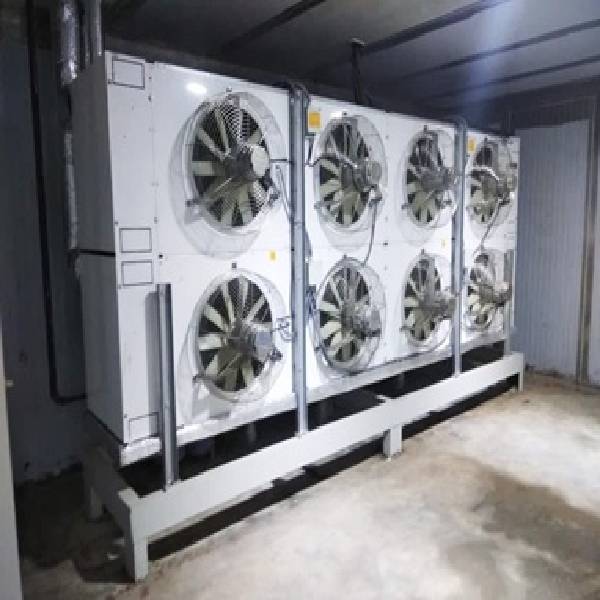 Latest 2000 CFP Ice cream freezer price in India