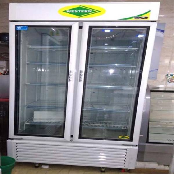 Upright Visi Cooler Type Freezer in Delhi High Court Avon Refrigeration