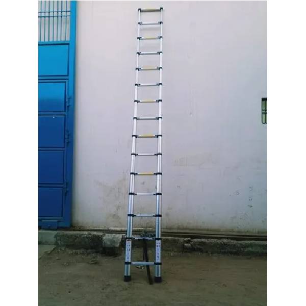 Latest Telescopic Ladder price in India
