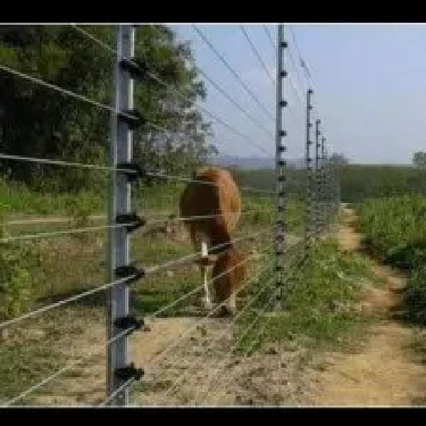 GI Clutch Wire For Jhatka & Fence Wire in Delhi SKCITYGREEN