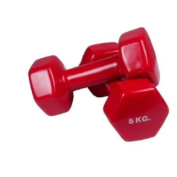 Vinyl Dumbbell Price in Delhi, Delhi – ₹110 Nation Fitness