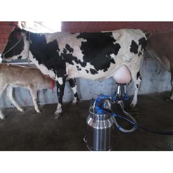 Automatic Milking Machine in Coimbatore Shreem Dairy Equipments