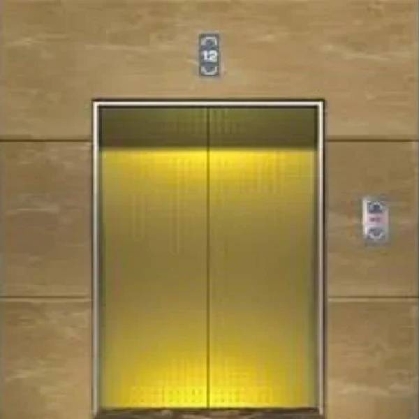 Aluminium Center opening Elevator Door Frame in surat Shivangi Elevators