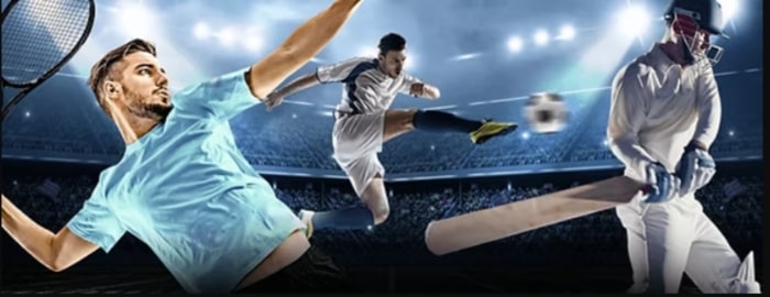 Sky Exchange: A Comprehensive Guide to Online Betting and Live Gaming