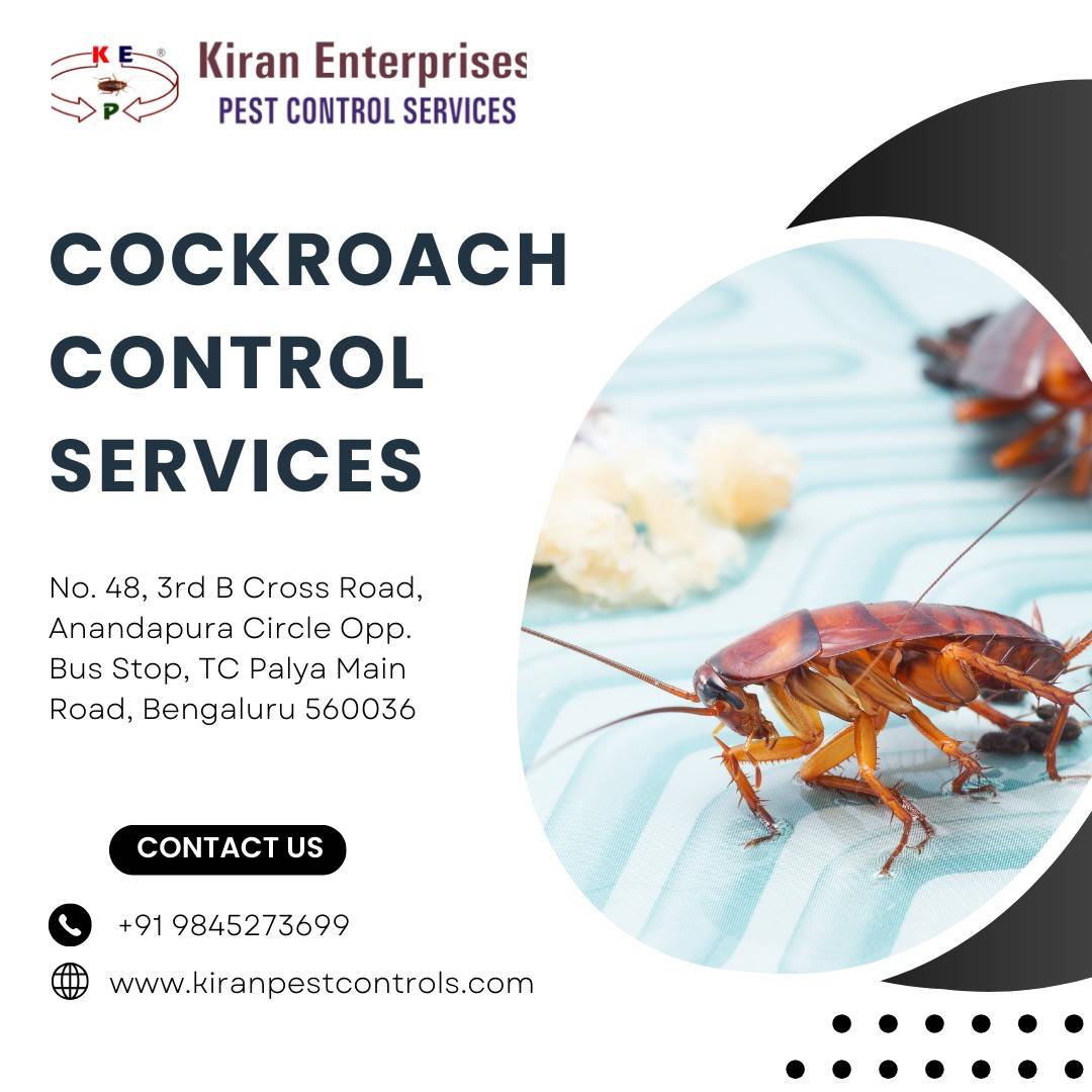 Cockroach Control Services in Hosur Road | Safe & Trusted
