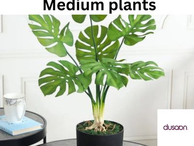 Benefits of Decorating with Artificial Plants