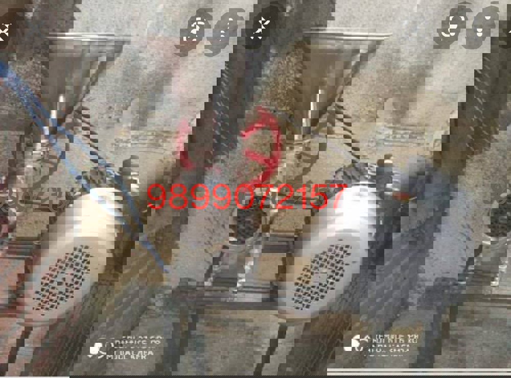 32 no mincer with motor, 100 kg per hr Manufacturer & Seller in North