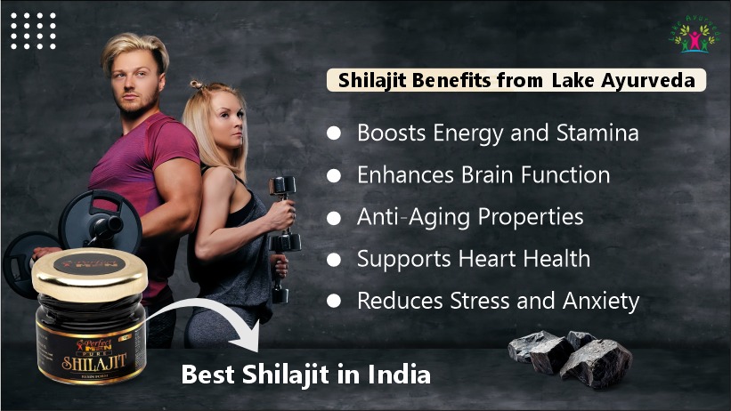 Best Shilajit in India | Authentic Shilajit Benefits from Lake Ayurveda