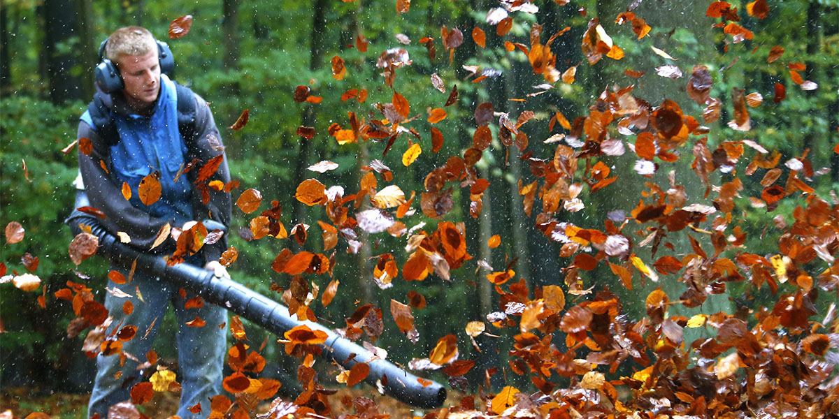 How Effective Is a Leaf Blower for Dryer Vent Cleaning?