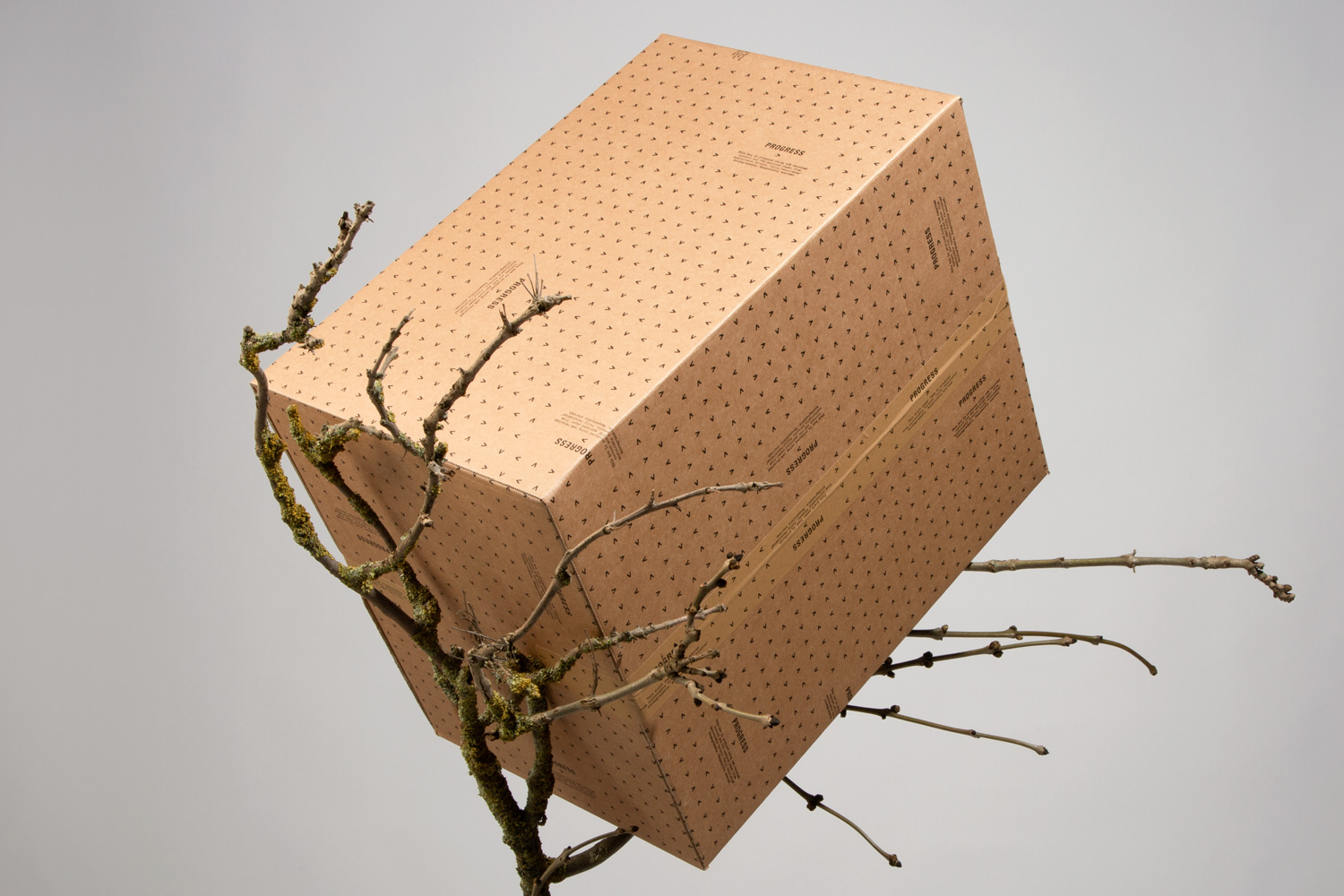 How to Customize Boxes for Events
