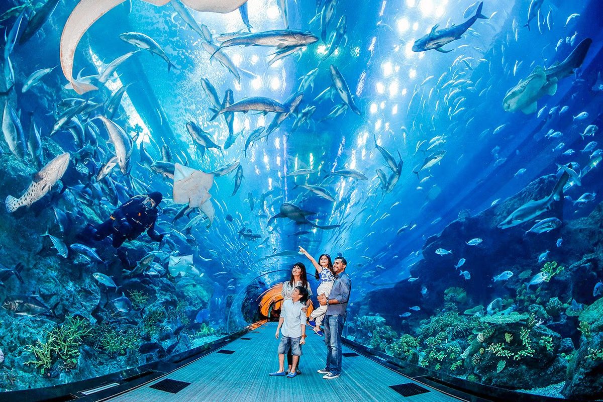  Experience the Best of Dubai: A Journey to Remember