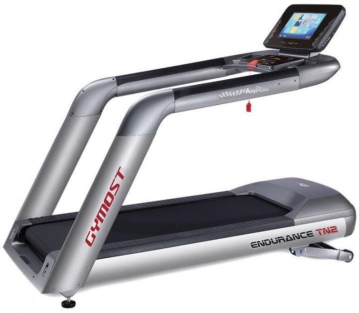5HP Gymost Endurance 6140 TA Treadmill, For Commercial, 180kg Price in  Kancheepuram, Tamil Nadu – ₹2,63,025 Afton Fitness Company