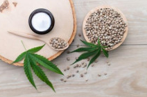 Marihuanasamen als Sammlerprodukt: Was ist wissenswert?