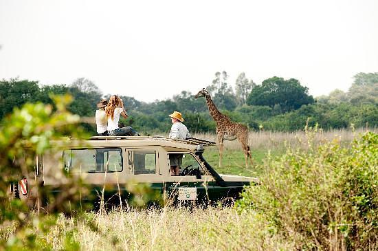 The Ultimate Guide to Planning a Perfect Family Safari in Africa