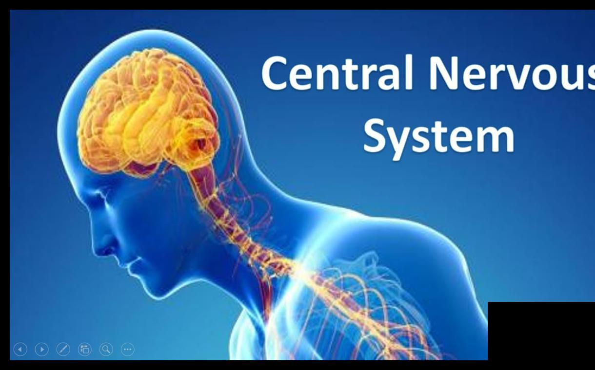 Central Nervous System Therapeutics Market Report: Growth Opportunities & Forecast 2033