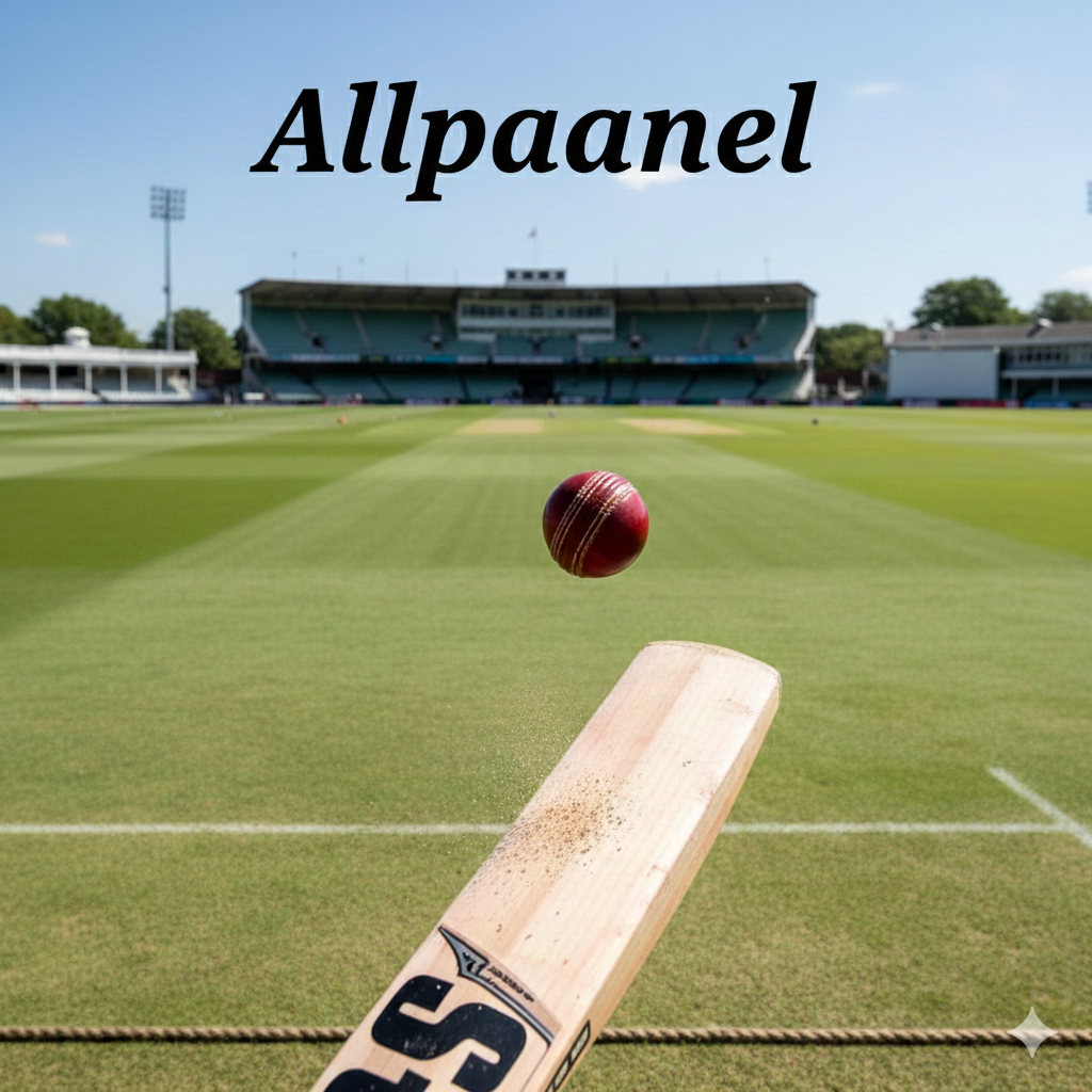 What Makes Allpaanel Stand Out Among Competitors?