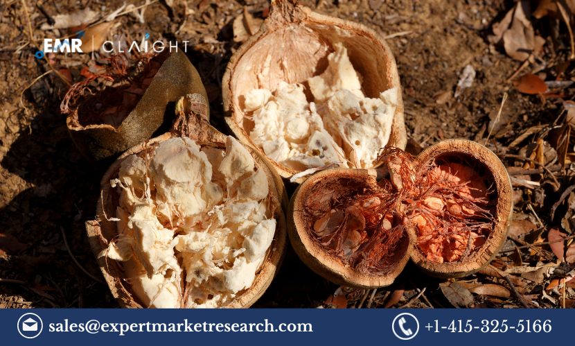 Baobab Ingredient Market Report and Forecast 2025-2034: Growth Trends, Drivers, and Opportunities