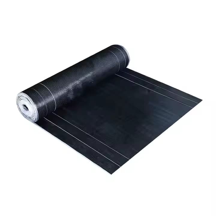 APP and SBS Membrane: An In-Depth Overview