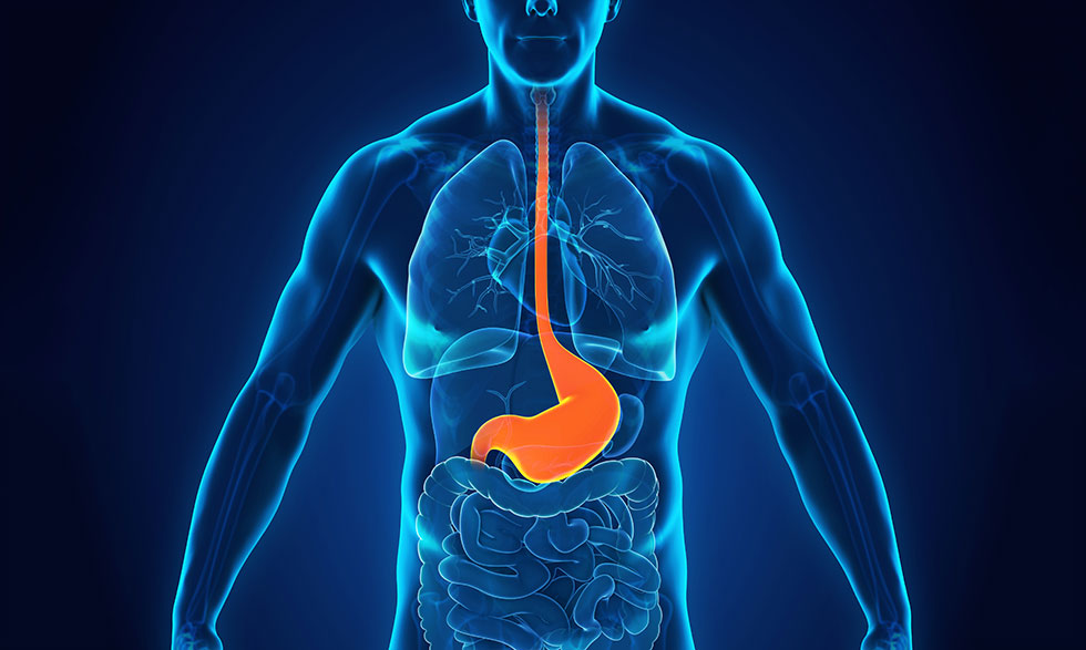 Best Gastroenterologist in Bangalore: Expert Digestive Care by Dr. Bhushan Chittawadagi