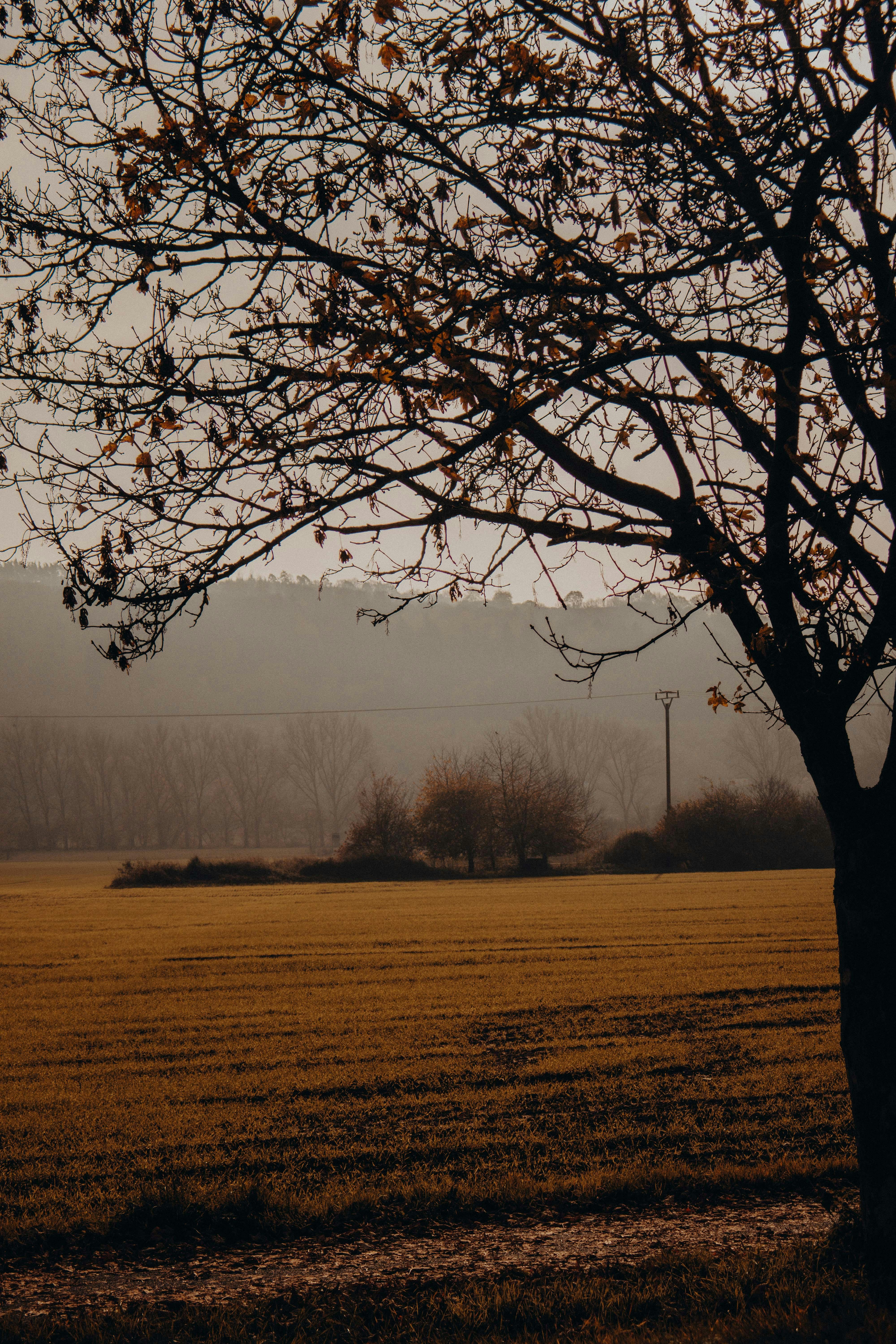 10 Expert Tips to Sell Your Land Quickly and Profitably