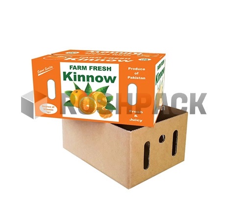 What Sizes of Food Boxes Does RoshPack Offer?