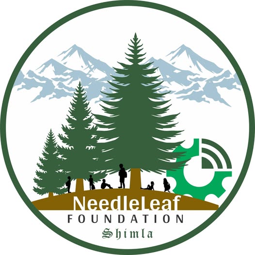 Scaling Sustainability: Needleleaf Foundation’s Expansion Beyond Himachal