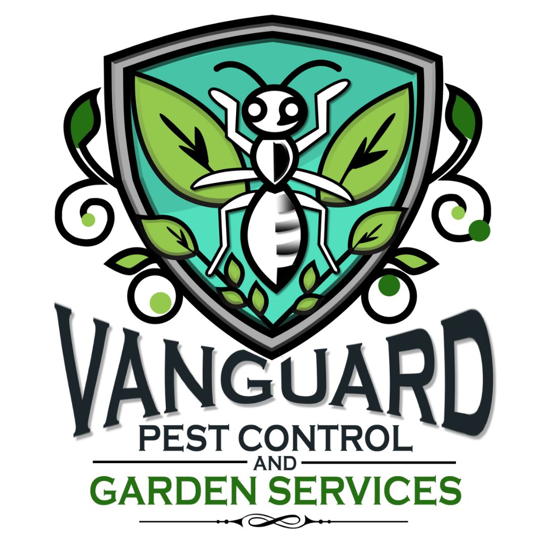 Say No to Chemicals! Natural Pest Control Services in Melbourne by Vanguard Eco Solutions That Works
