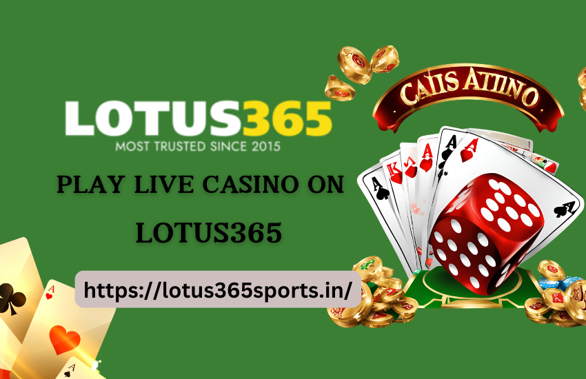 Why Lotus365 Is Your Best Choice for Safe and Secure Online Betting