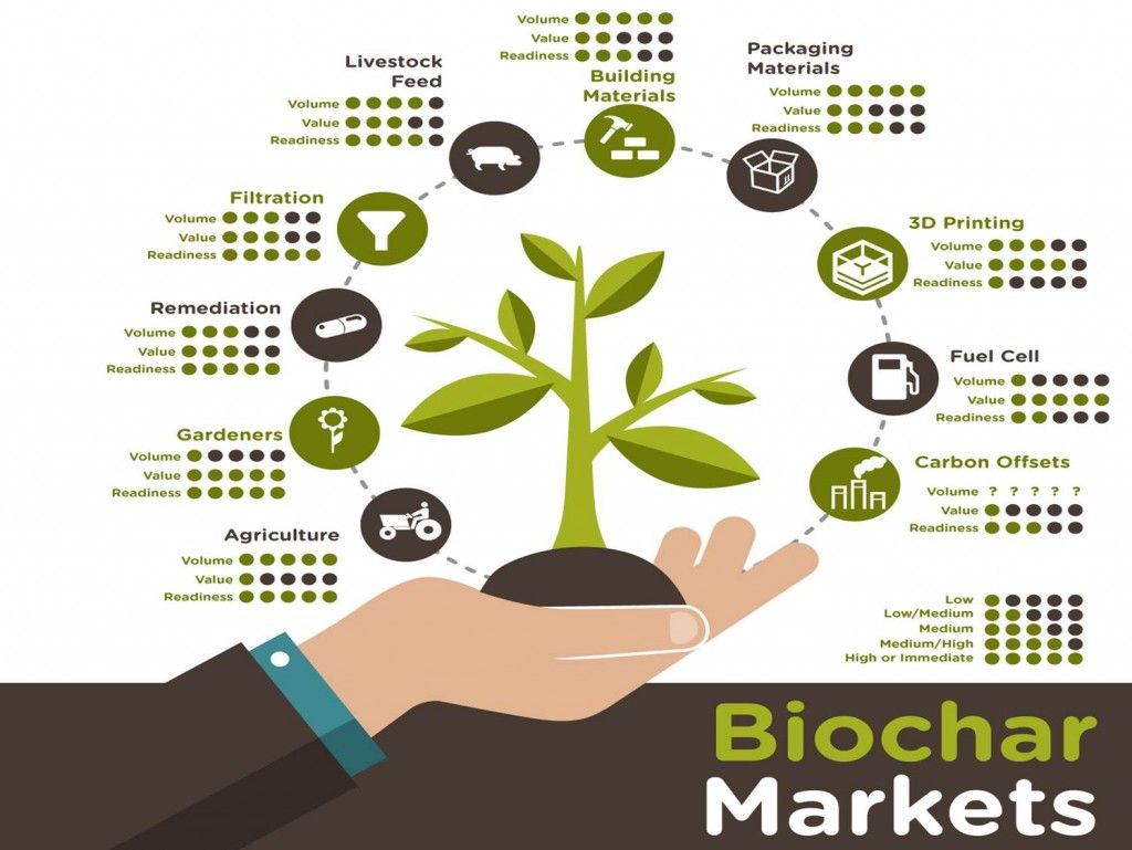 Which Regions Are Leading Biochar Market Growth?