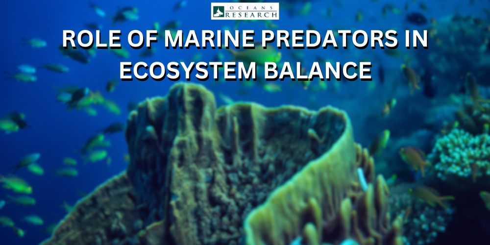 The Role of Marine Predators in Ecosystem Balance