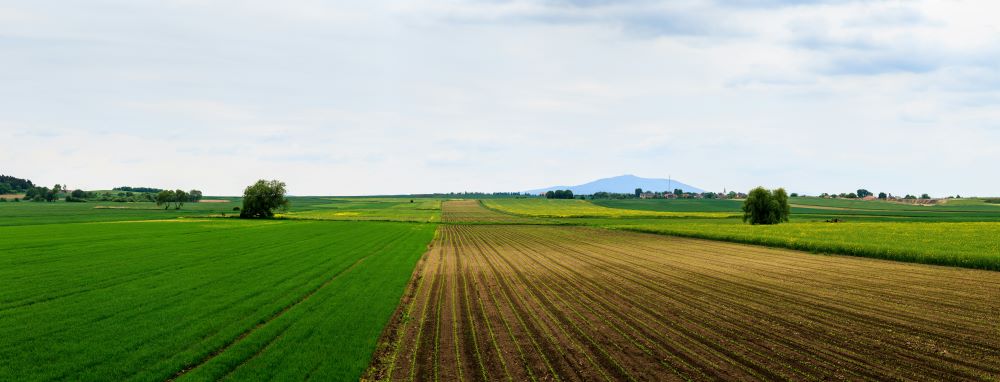 What Are the Safety Considerations for Farmers Using Paclobutrazol 23% SC?