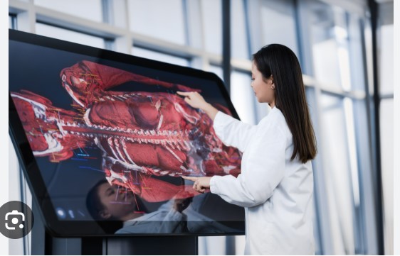 From Curiosity to Clinical Clarity: Teaching With a virtual dissection table That Learners Actually Love