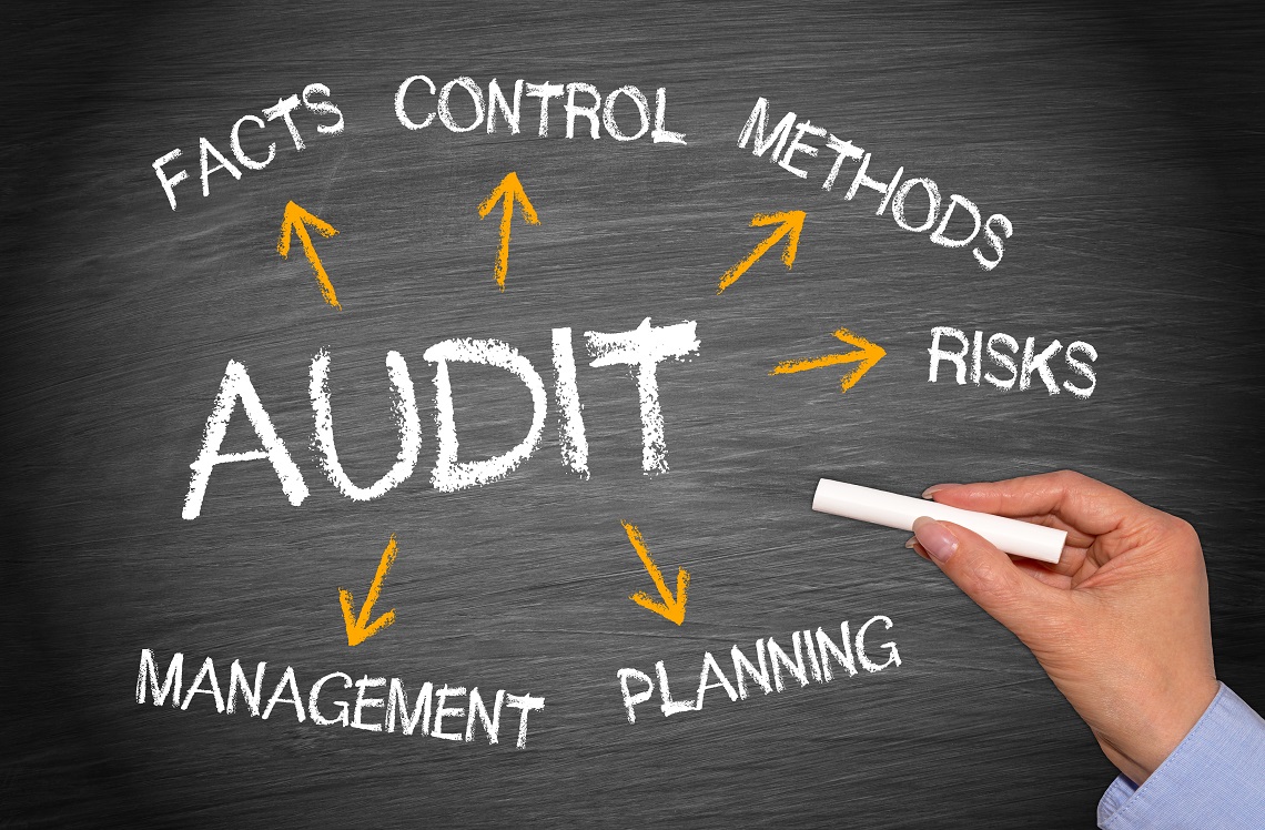 Top 10 Best Audit Support Companies in the US for 2025