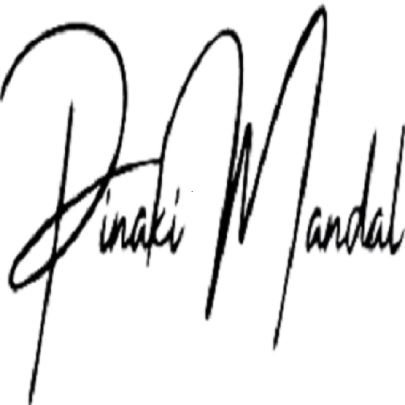 Pinaki Mandal – Strategic Marketing Consultant