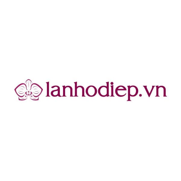 Lan Hồ Điệp Gỗ Lũa: Những Cung Bậc Cảm Xúc Trong Vườn Hoa Màu