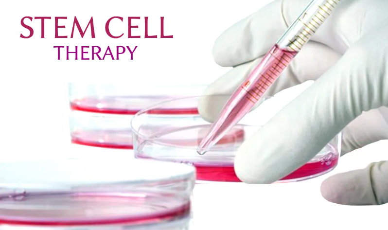 Stem Cell Therapy Demystified: Weighing the Benefits, Risks, and Suitability