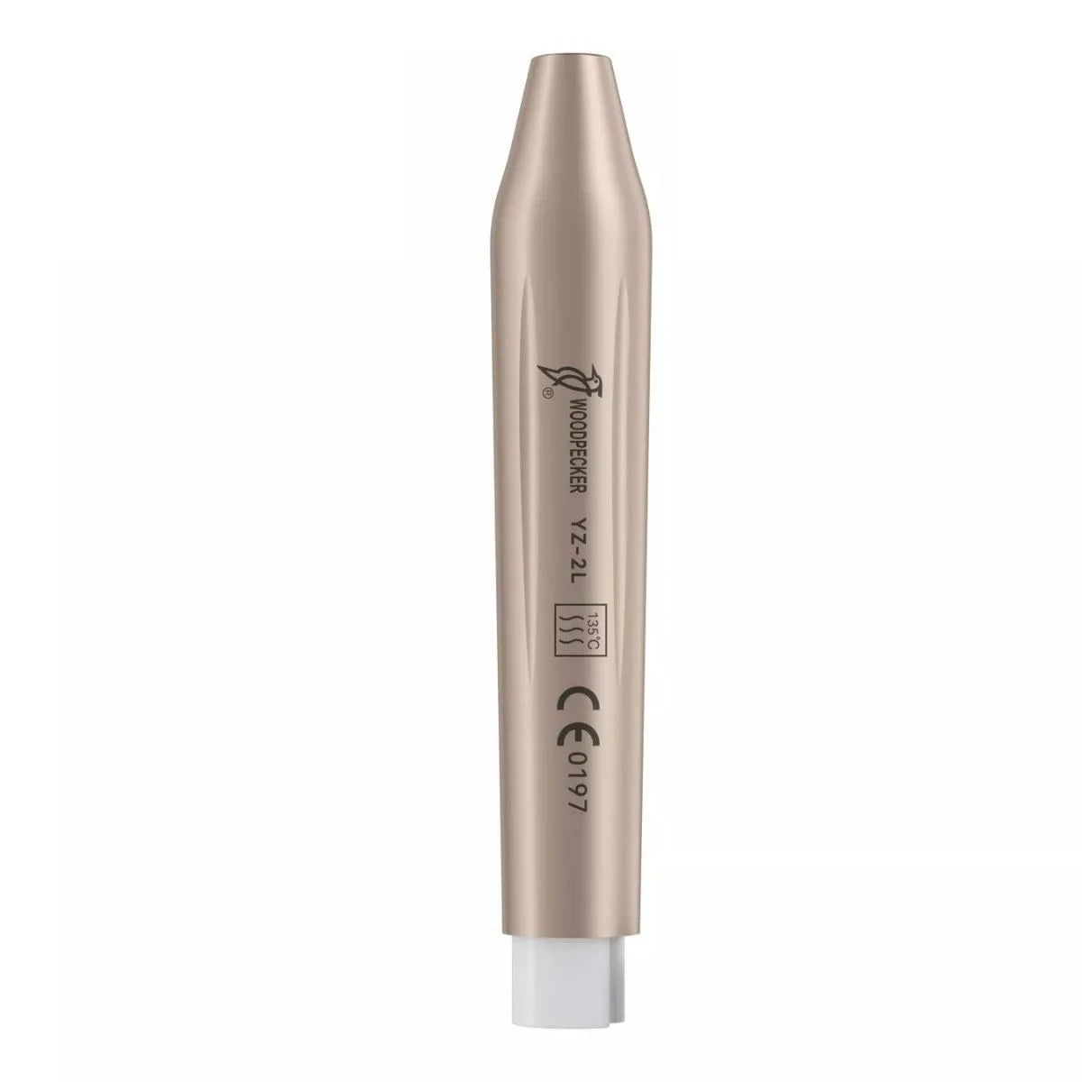 Why Scaling & Polishing Are Important for Everyday Dental Health